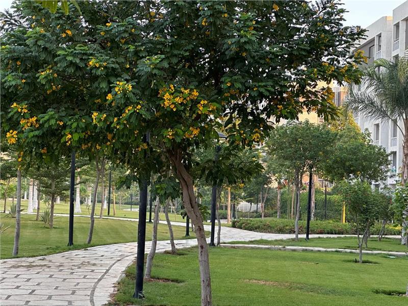 شقة فى مدينتى  165 م2 بحرى للايجار مفروش كود 55134